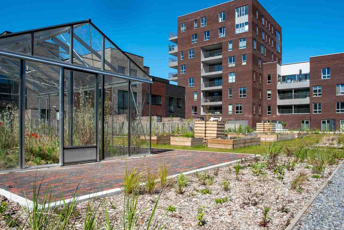 Jardin partagé avec serre maison écoquartier coronmeuse